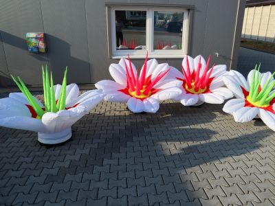 Aufblasbare Blumen als Deko
